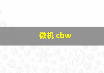 微机 cbw